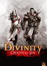 Divinity: Original Sin