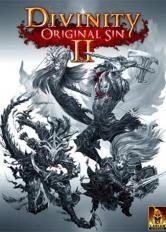 Divinity: Original Sin 2