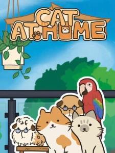 Cat at Home