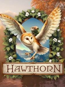 Hawthorn