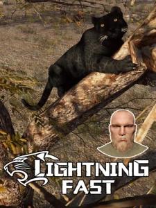 Lightning Fast
