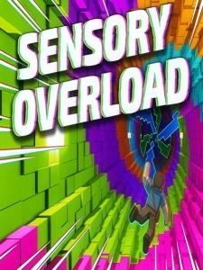 Sensory Overload