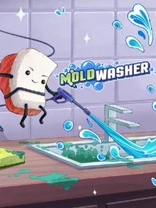 Moldwasher