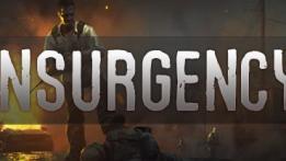 Insurgency